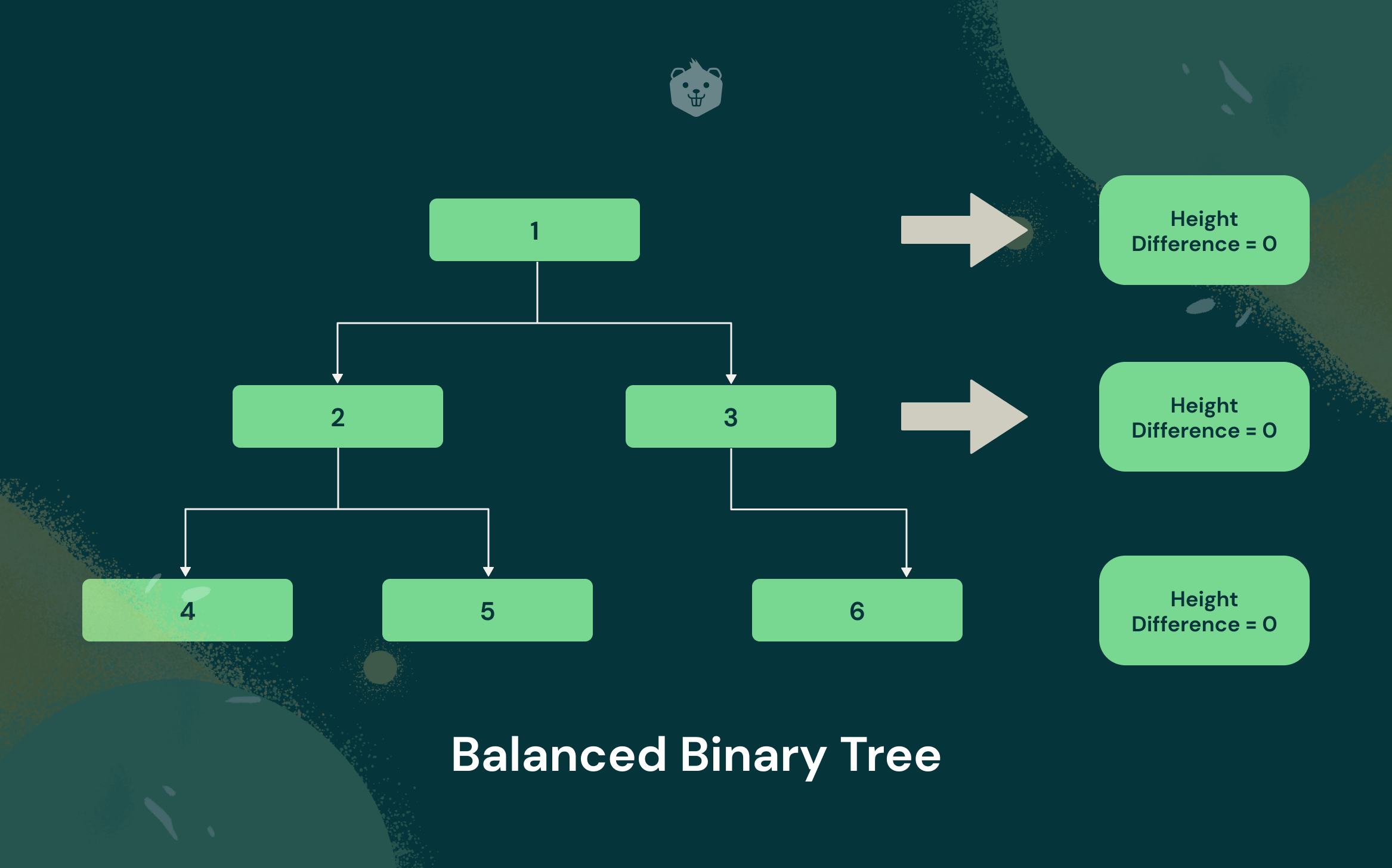 Types of Binary Tree Data Structures - How to Use - Explained With Examples and Activities