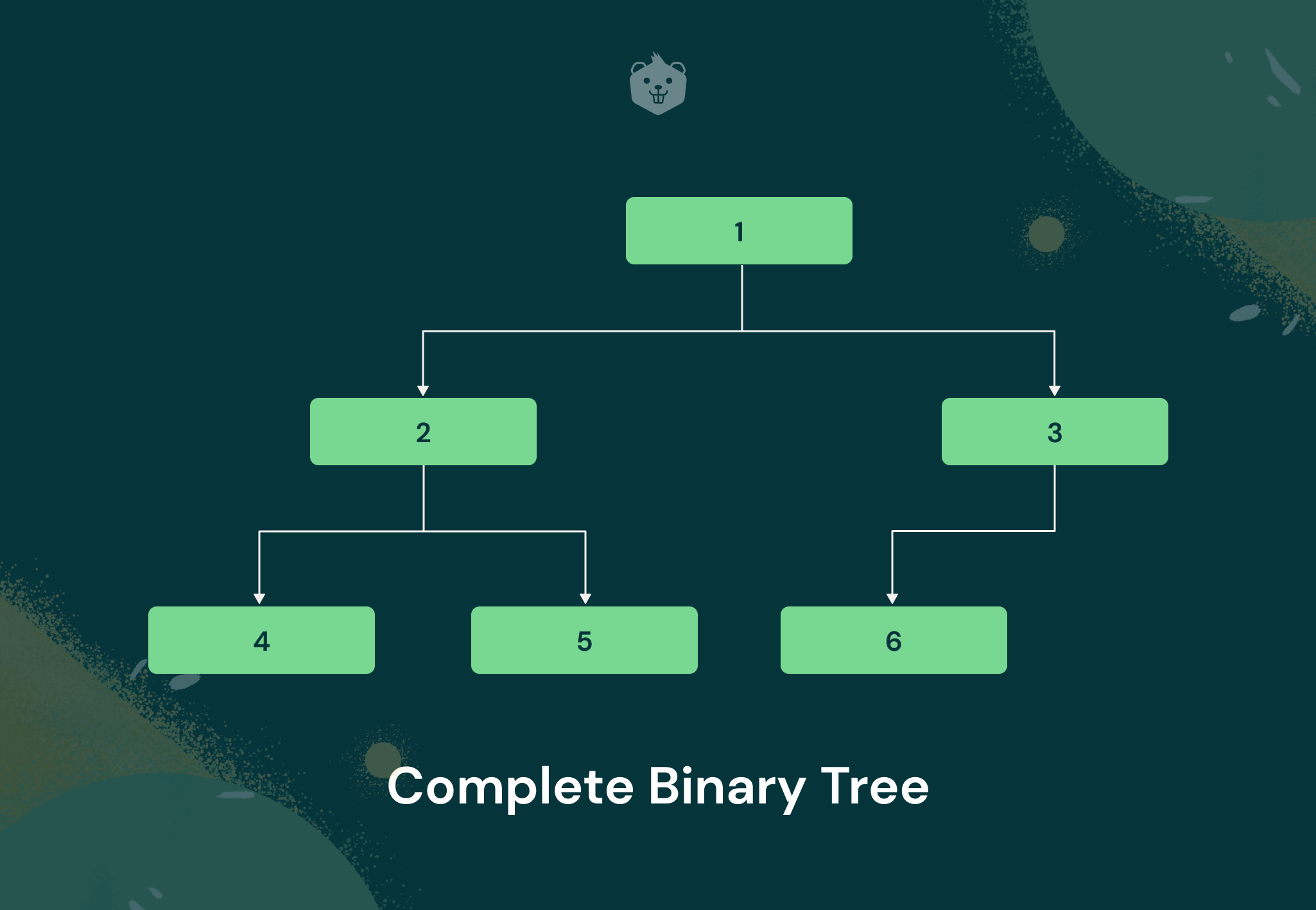 Types of Binary Tree Data Structures - How to Use - Explained With Examples and Activities