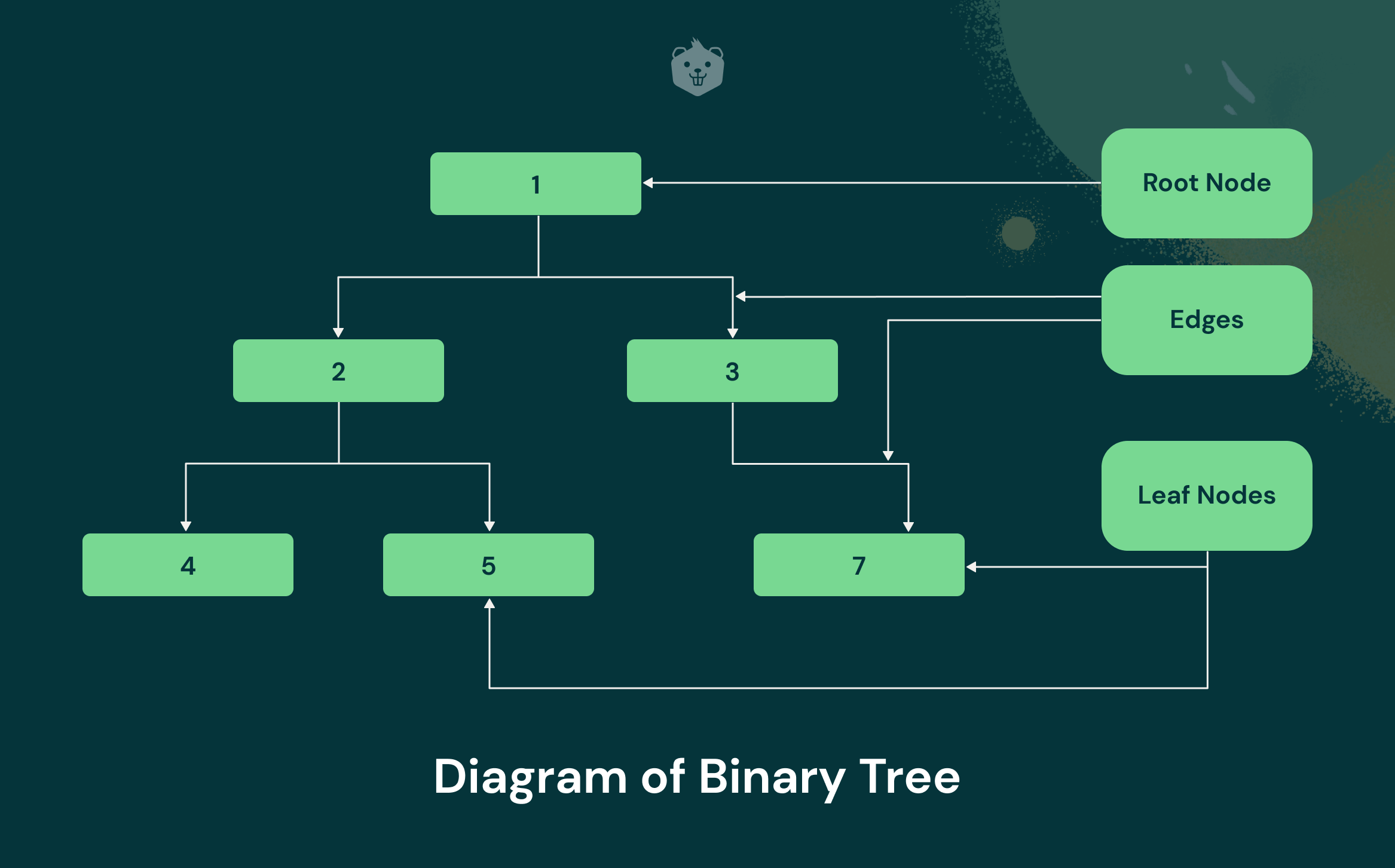 Types of Binary Tree Data Structures - How to Use - Explained With Examples and Activities