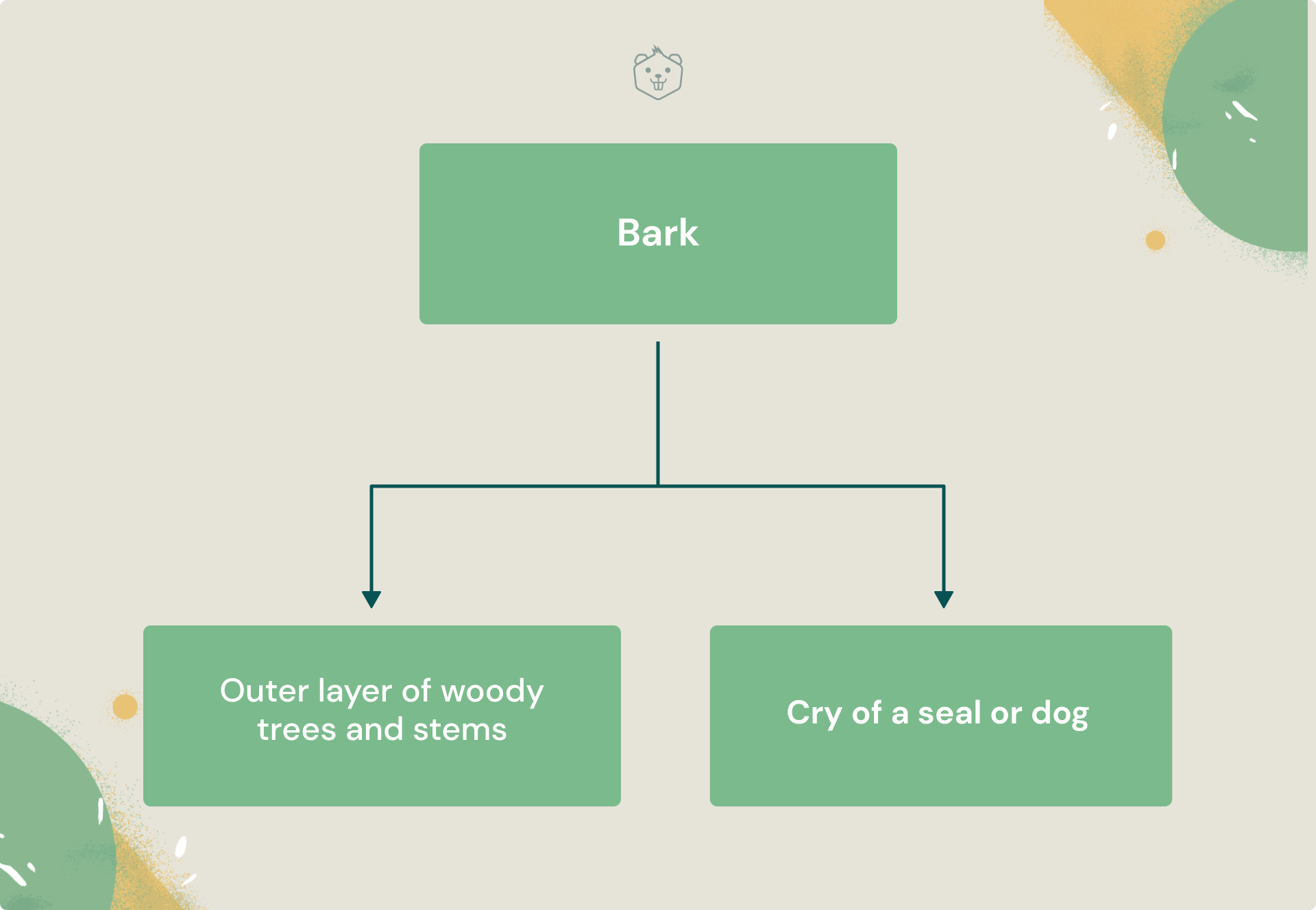 Polymorphism in C++: Understanding The Concepts