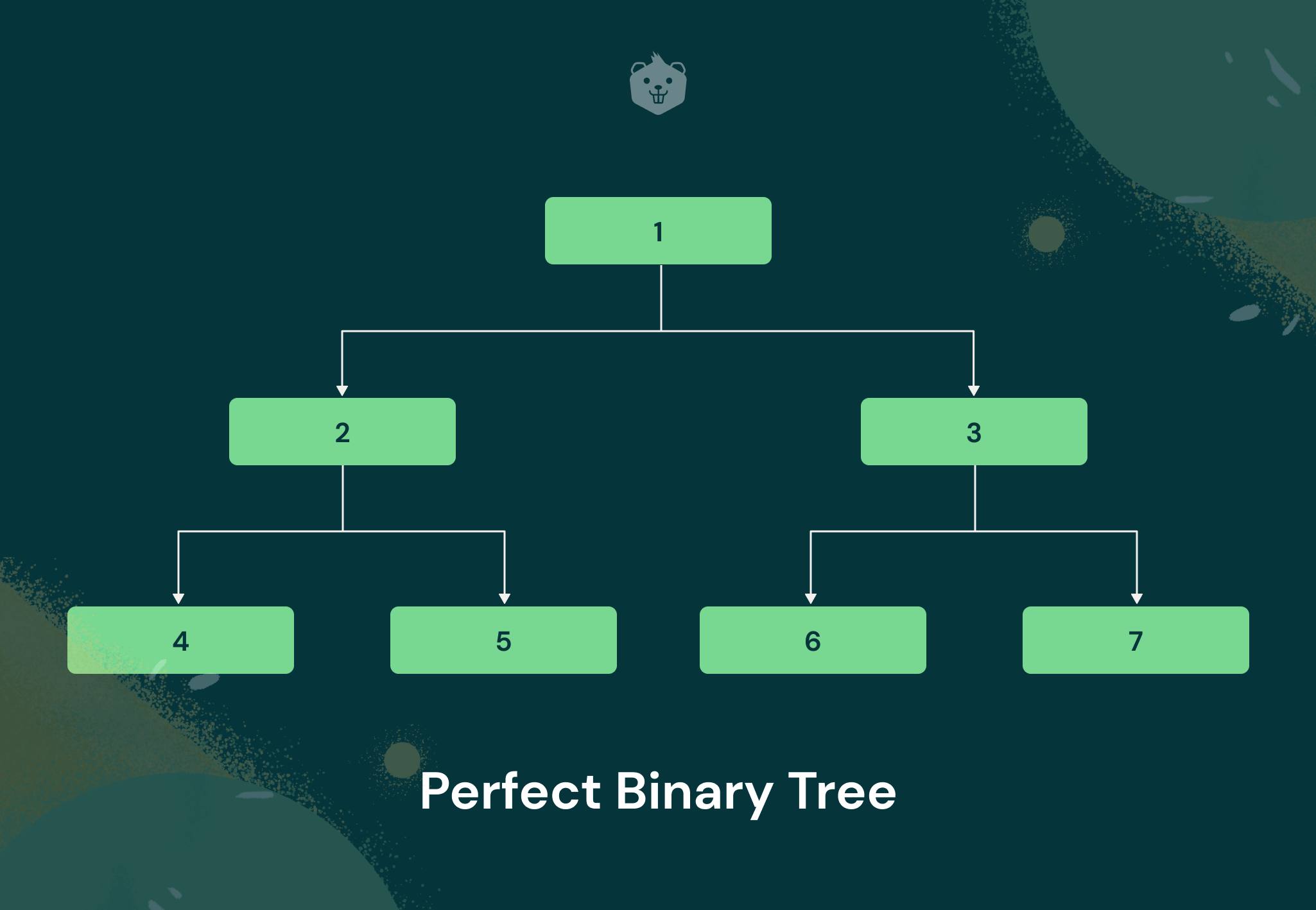 Types of Binary Tree Data Structures - How to Use - Explained With Examples and Activities