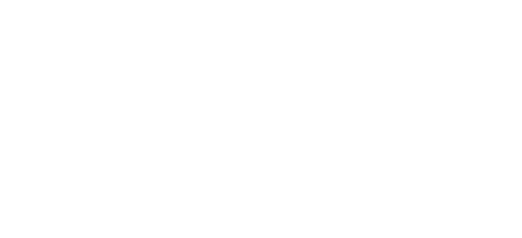 Slice